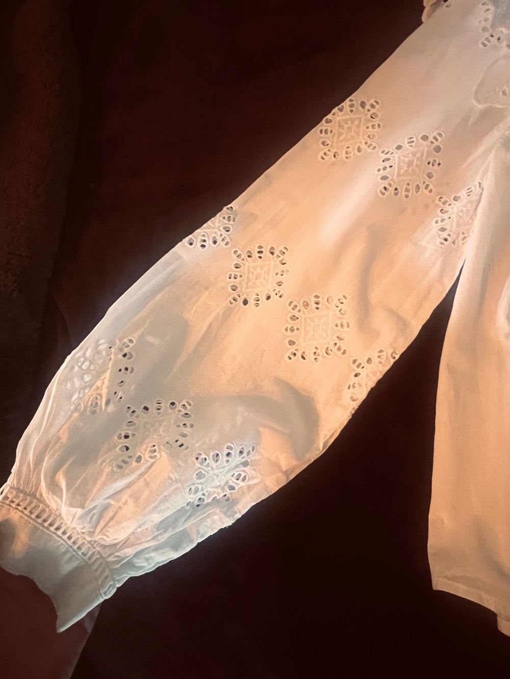 H&M White Eyelet Ruffle Yoke Blouse - Picture 4 of 6